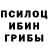 Галлюциногенные грибы Cubensis Androner An