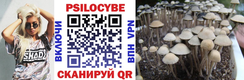 omg зеркало  Омутнинск  Псилоцибиновые грибы MAGIC MUSHROOMS 